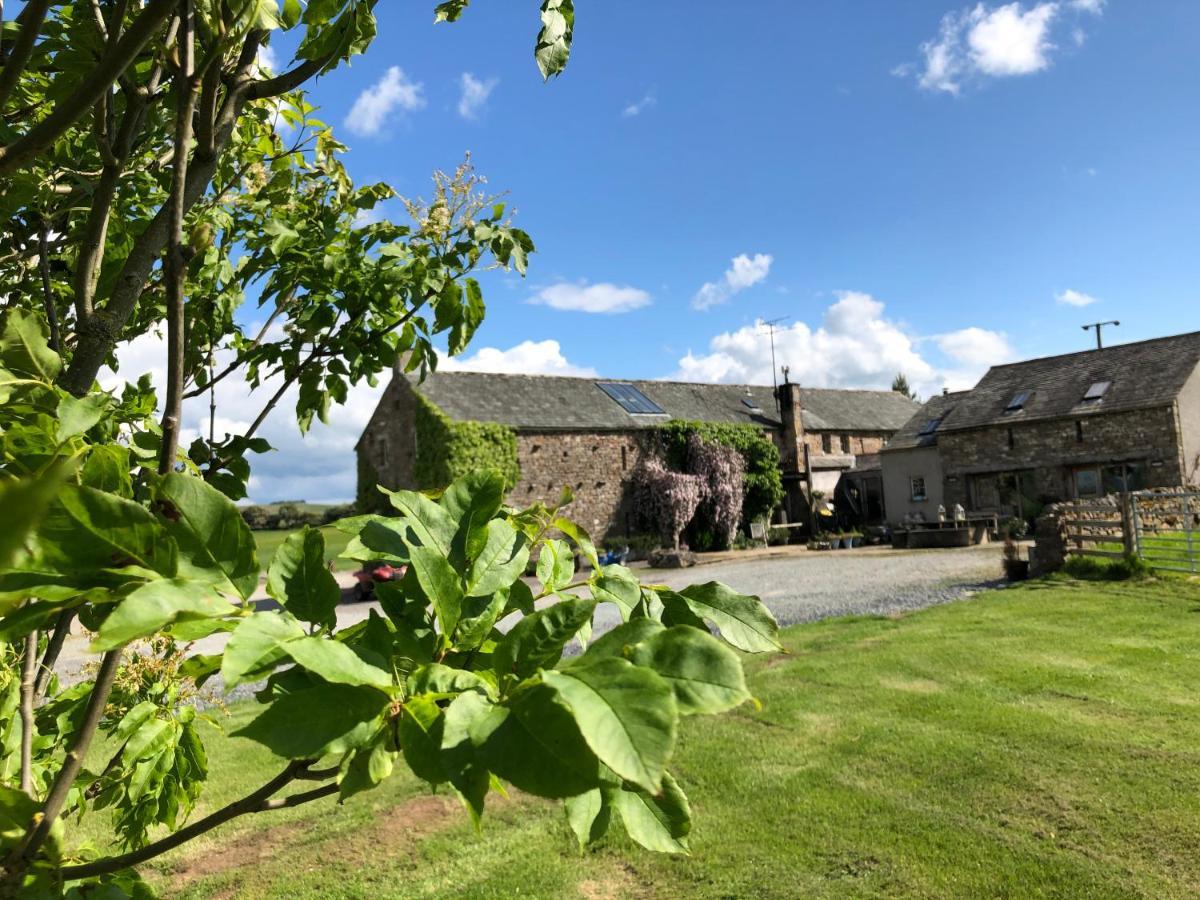 Bed and Breakfast Crake Trees Manor Crosby Ravensworth Exteriér fotografie